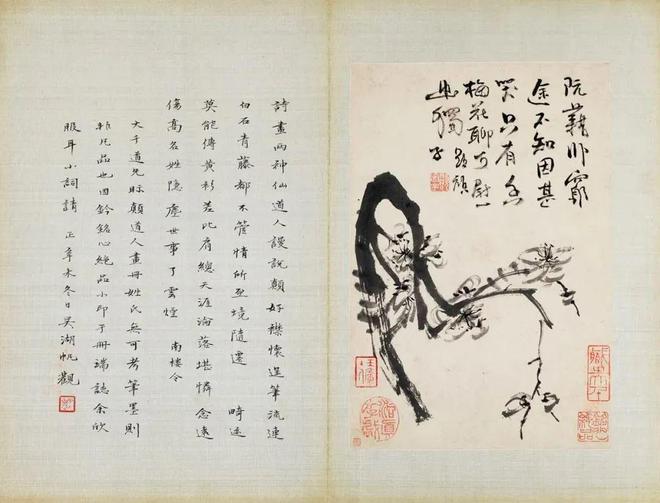 张大千珍赏的水墨花卉册，令人玩味无尽 名人名家 第5张