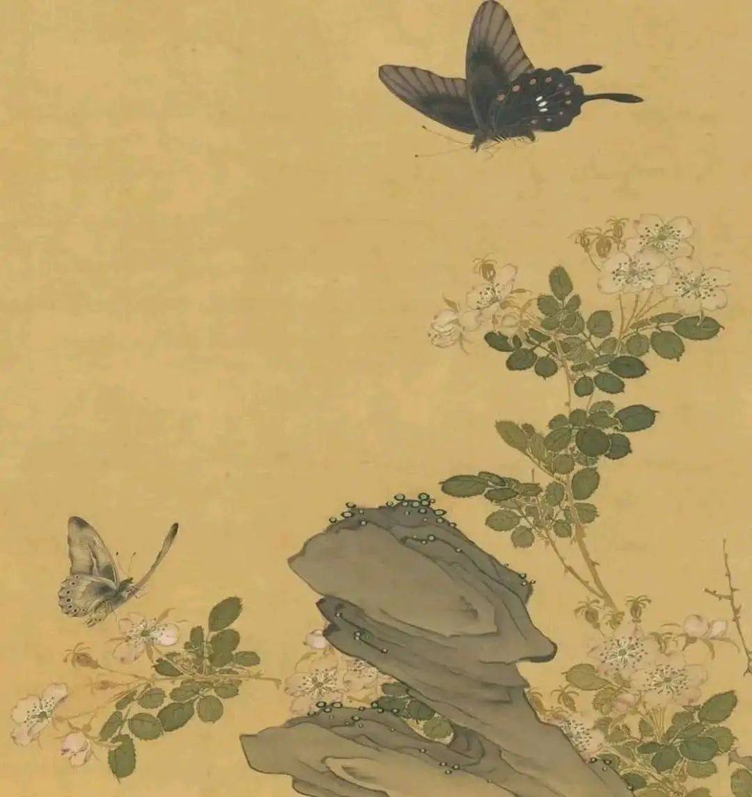 钱选《摹古花蜨图册》 历代国画 第4张