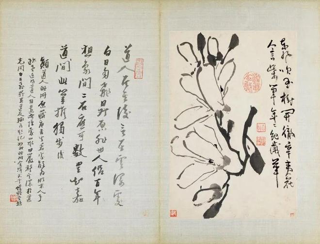 张大千珍赏的水墨花卉册，令人玩味无尽 名人名家 第6张