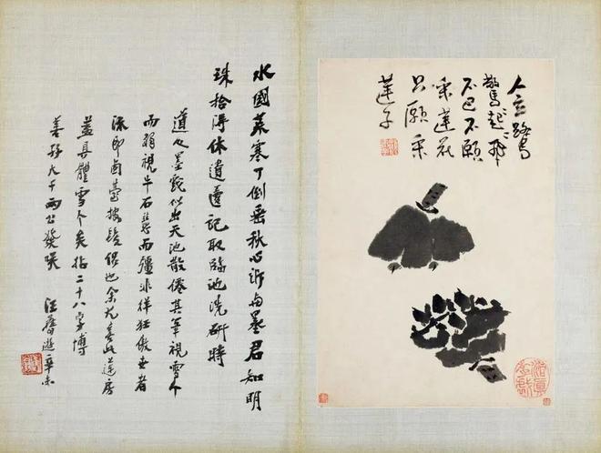 张大千珍赏的水墨花卉册，令人玩味无尽 名人名家 第11张