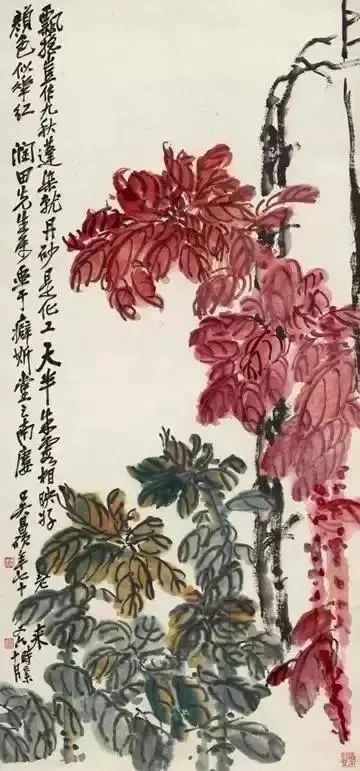 吴昌硕：绘画的“筋”与“骨 名人名家 第14张