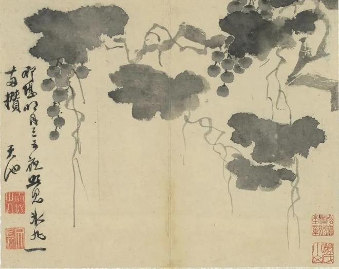 明徐渭：写意花卉册 历代国画 第7张