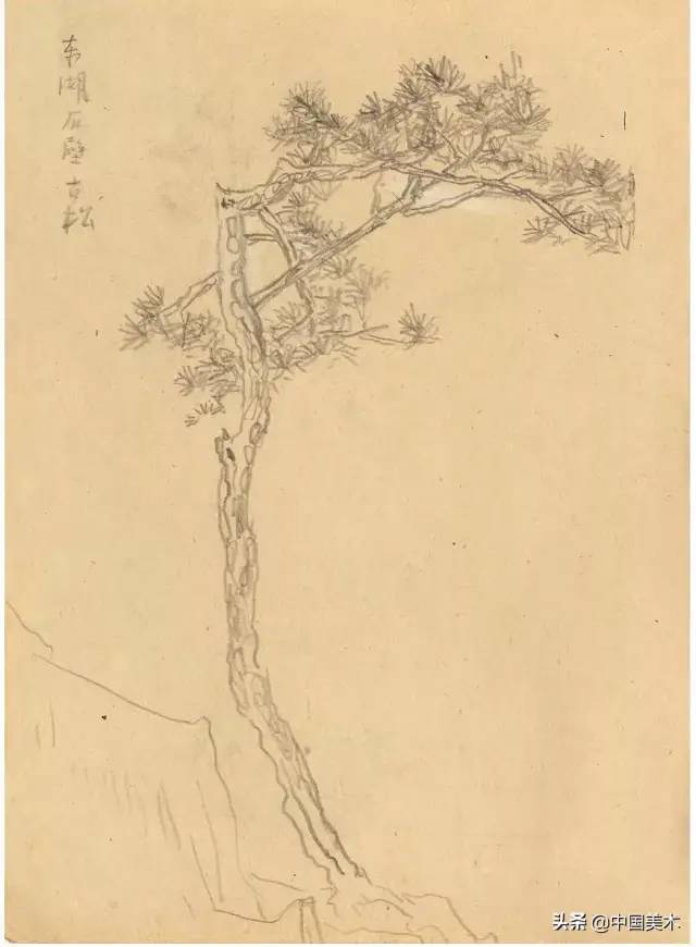 潘天寿：对物写生要懂神，对景写生要懂舍 名人名家 第15张