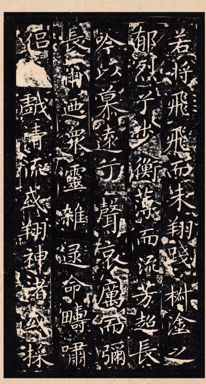王羲之&王献之，谁写的小楷更潇洒？ 名人名家 第8张