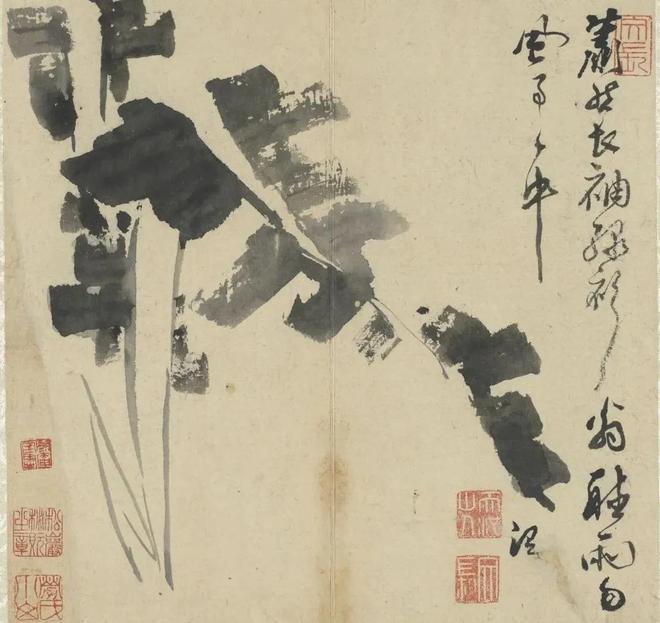 明徐渭：写意花卉册 历代国画 第6张