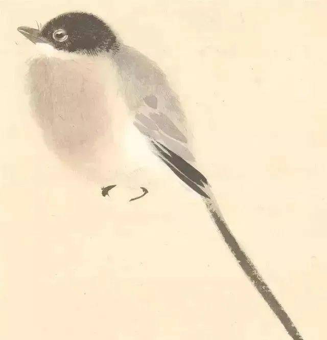 中国杰出的花鸟画家张其翼花鸟画作品赏析 名人名家 第5张