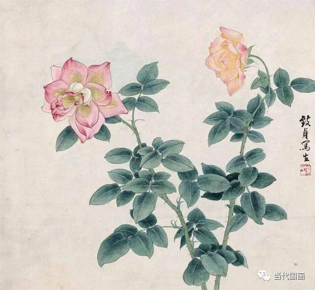 当代工笔花鸟画“女状元”—— 俞致贞 名人名家 第54张