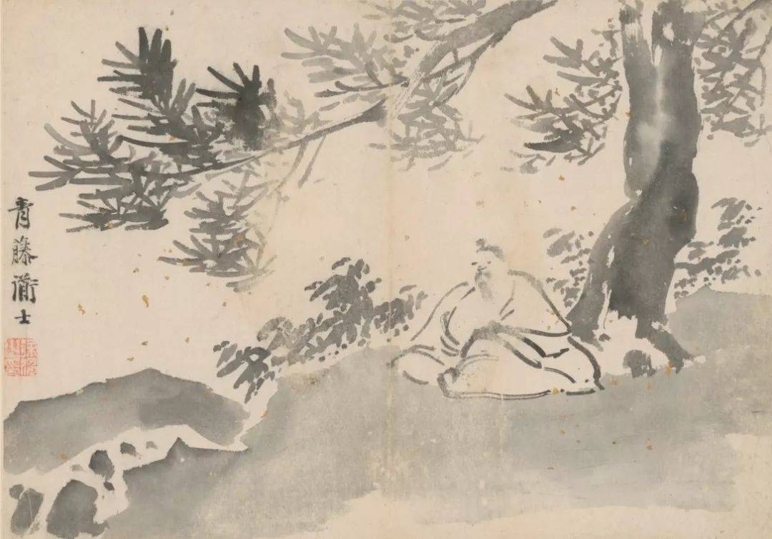 徐渭：悬崖边缘的狂舞 名人名家 第8张