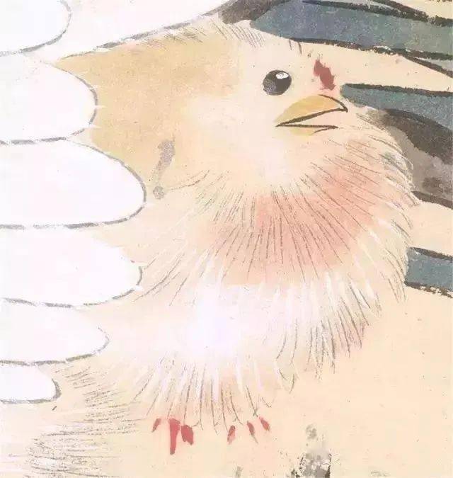 中国杰出的花鸟画家张其翼花鸟画作品赏析 名人名家 第6张