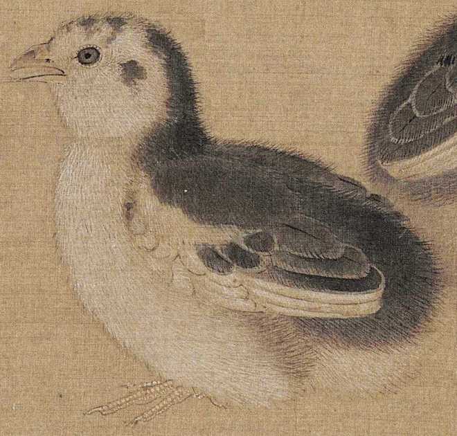 李迪《鸡雏待饲图页》 历代国画 第5张