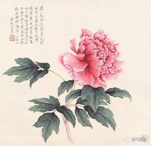 当代工笔花鸟画“女状元”—— 俞致贞 名人名家 第11张