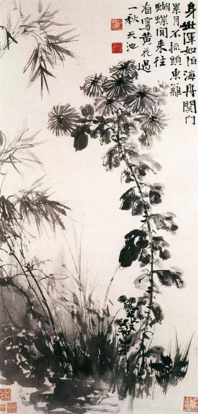 徐渭：苦到极处休言苦 名人名家 第5张