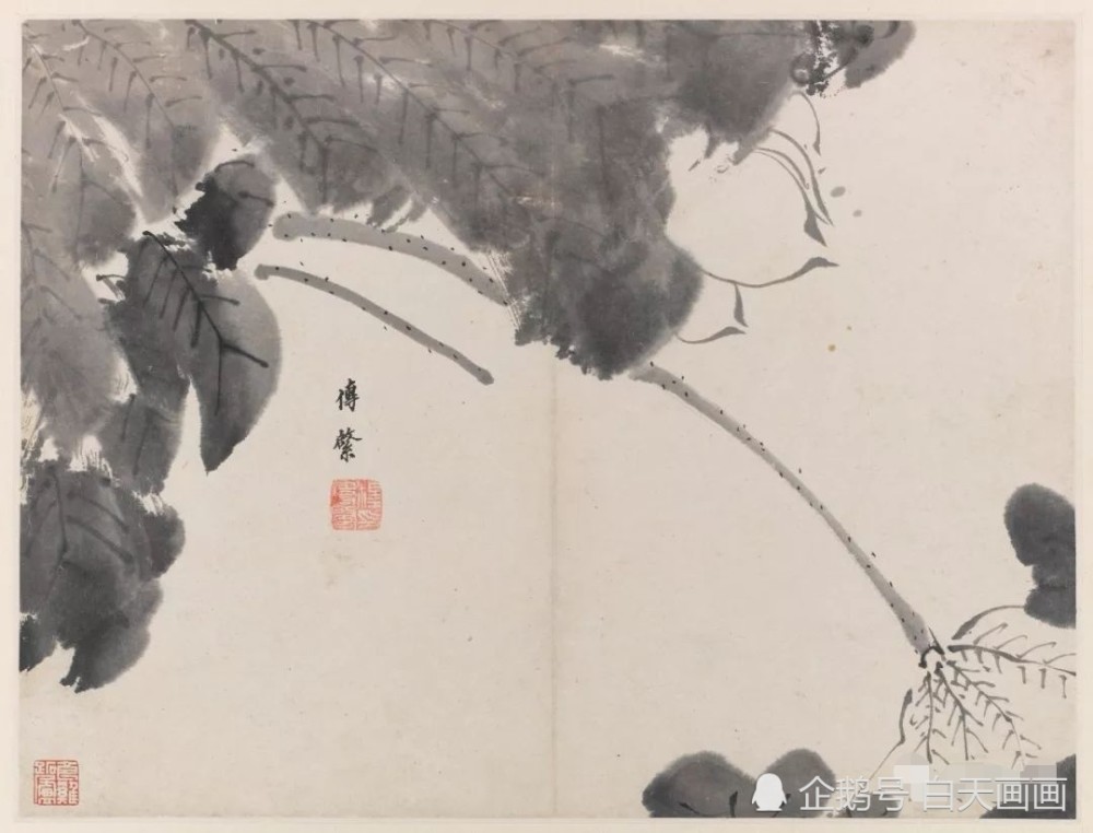 影响后世众多名家的“白眼”画家，八大山人 名人名家 第5张