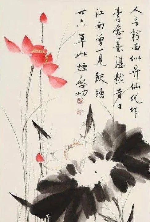 启功画荷花，清丽隽永，简洁素雅 名人名家 第4张