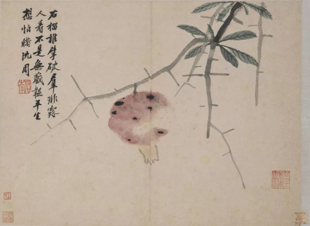 沈周卧游：性情所在、不亦乐乎！ 名人名家 第24张