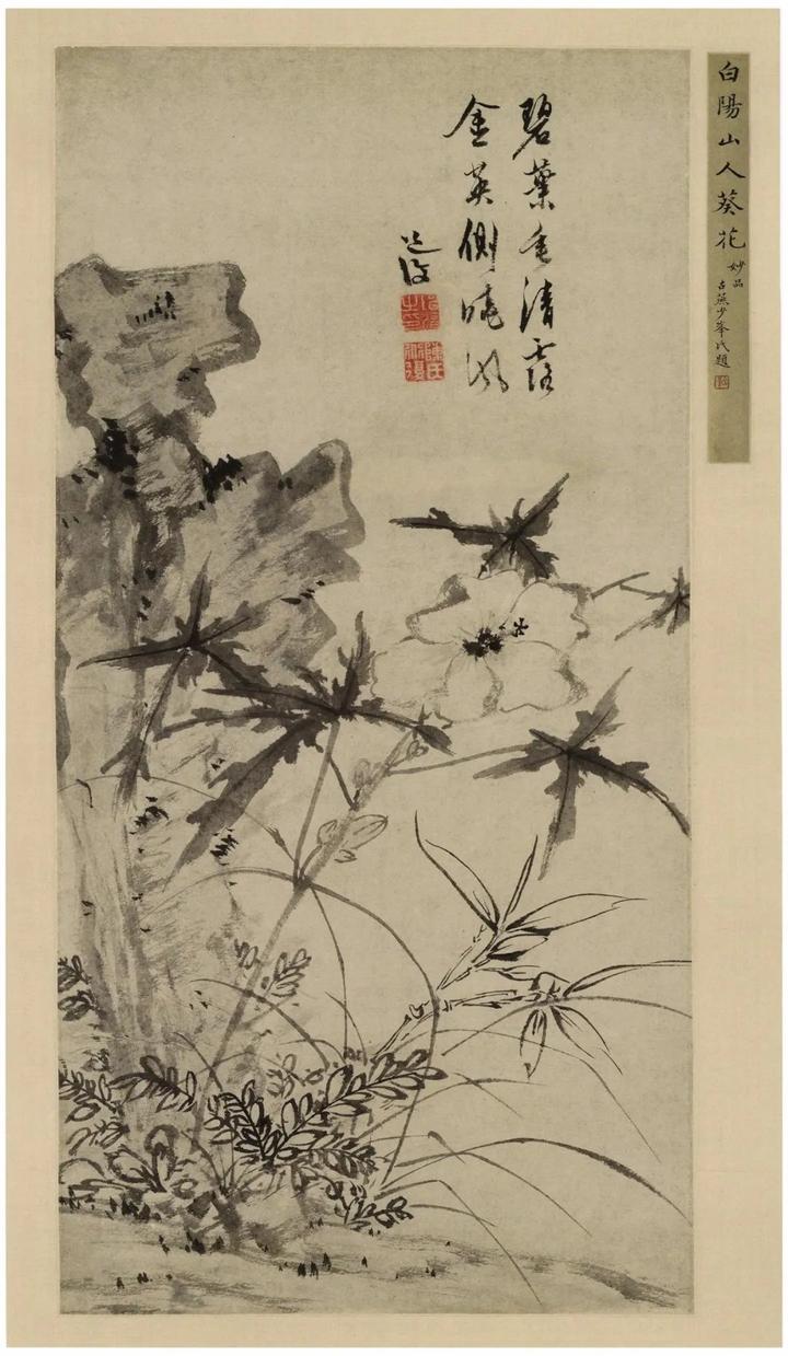 陈道复：妙笔丹青，花鸟传情 名人名家 第19张