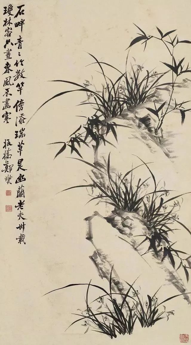 郑板桥画兰，画的是兰花之骨 名人名家 第16张