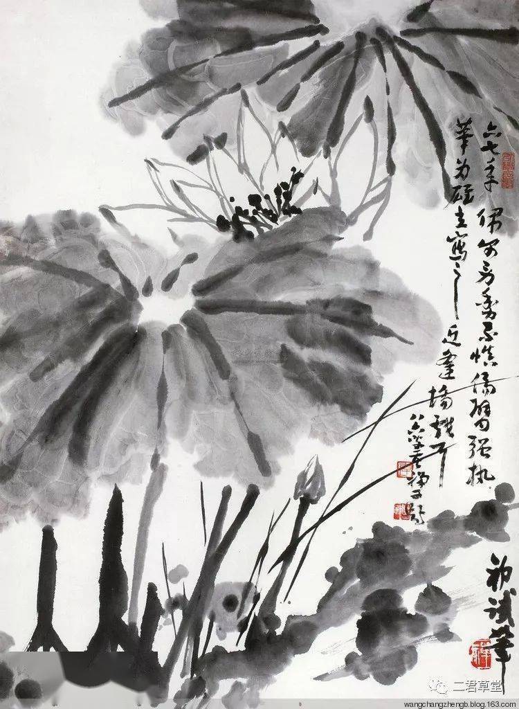 李苦禅画荷 名人名家 第22张