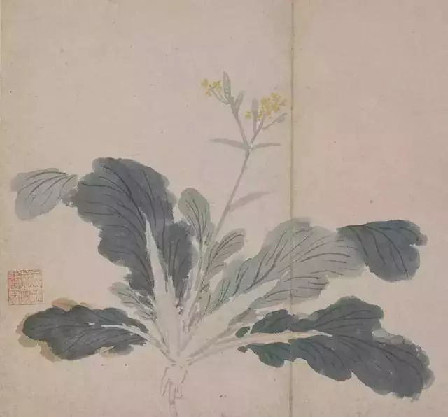 沈周诗书画鉴赏 名人名家 第31张