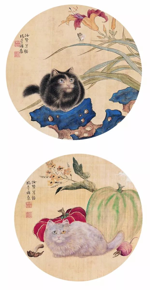 画猫一绝｜他笔下的猫们活泼精灵、人见人爱 名人名家 第61张