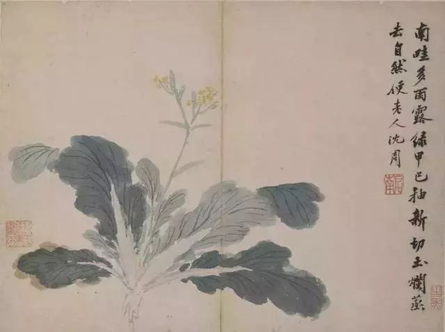 沈周诗书画鉴赏 名人名家 第29张