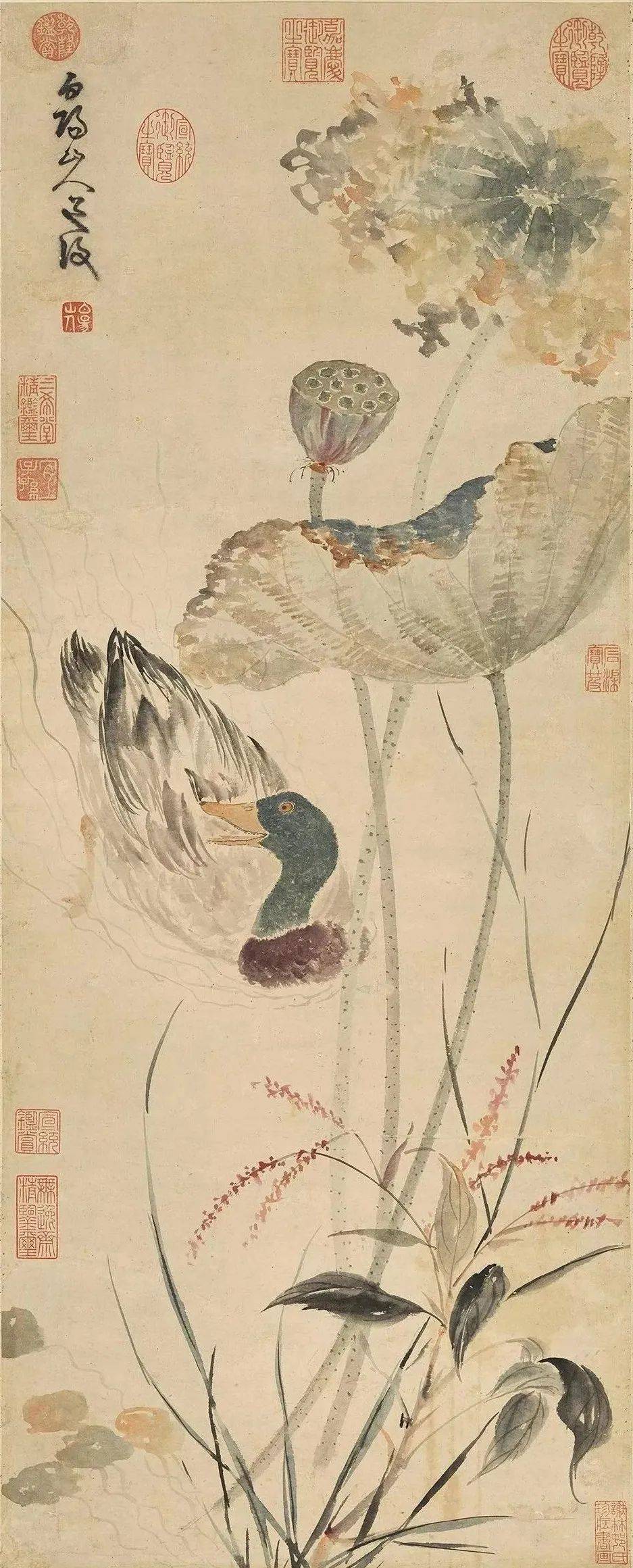 陈淳：一杆画笔，撑开明代大写意之门 名人名家 第12张