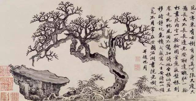 沈周：天地一痴仙 名人名家 第22张