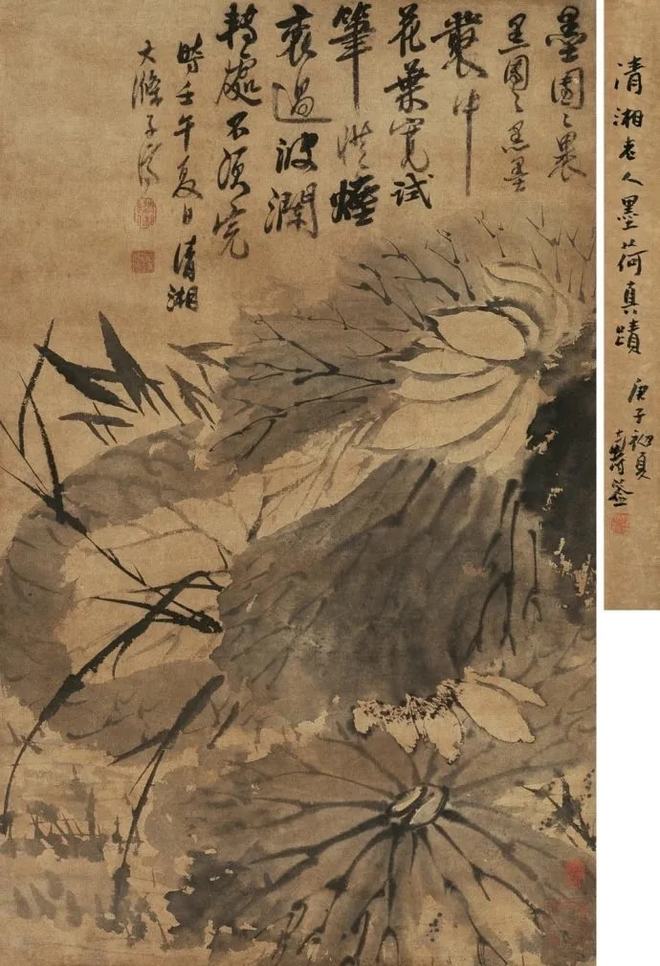 鉴赏 石涛画荷，尽显精神 名人名家 第8张