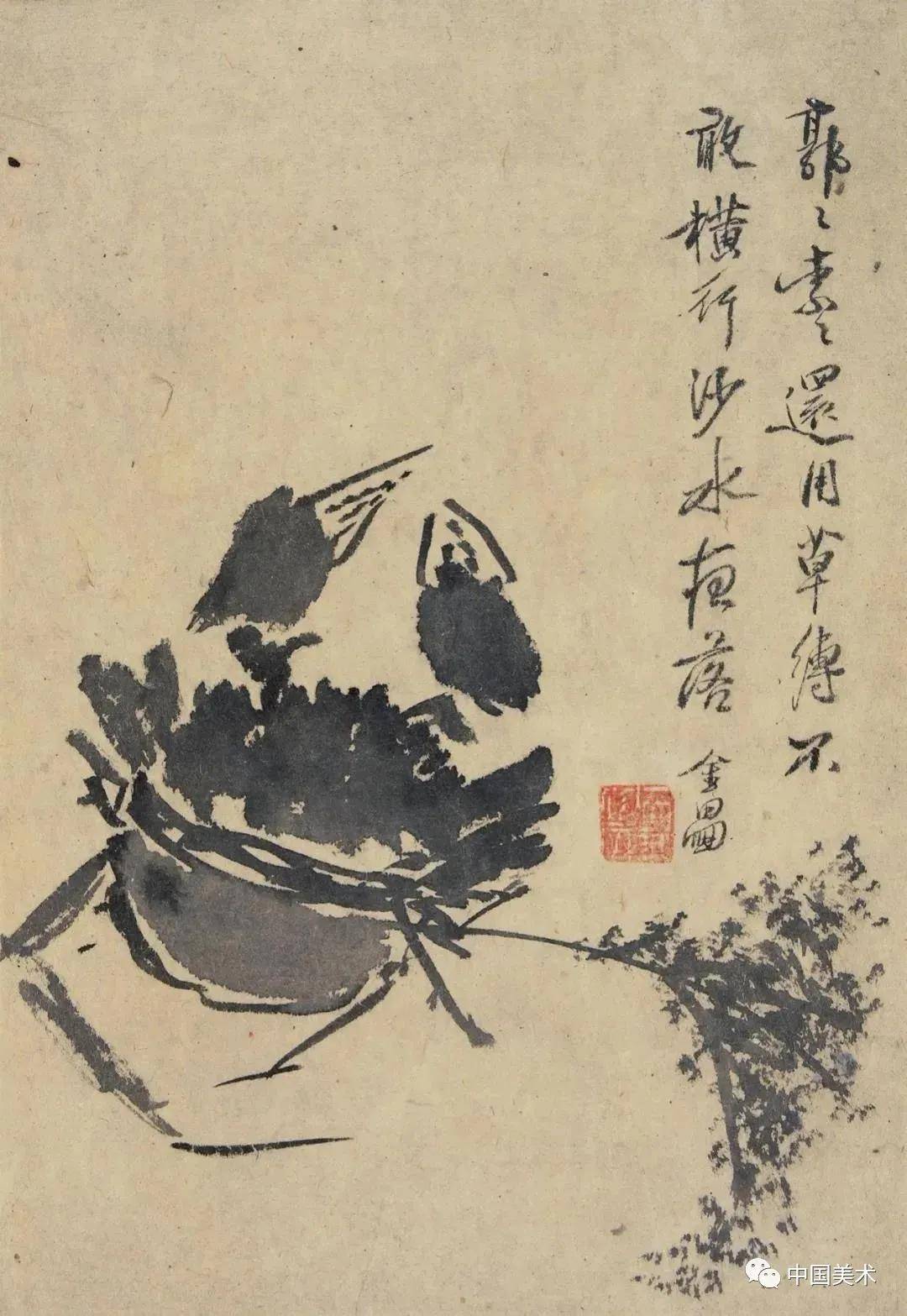 徐渭：墨色淋漓雨拨开 名人名家 第9张