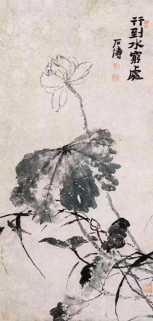 鉴赏 石涛画荷，尽显精神 名人名家 第9张