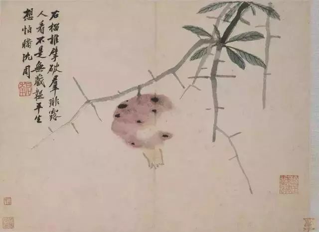 沈周诗书画鉴赏 名人名家 第22张