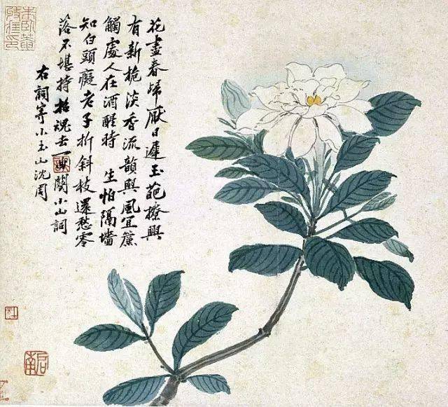 沈周：天地一痴仙 名人名家 第16张