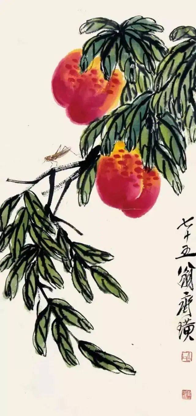 齐白石笔下的白菜、丝瓜、葡萄、石榴、荔枝、柿子，哪样最出彩！ 名人名家 第29张