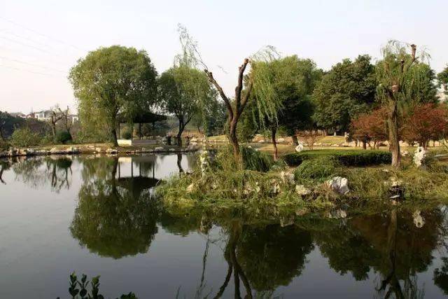 沈周：天地一痴仙 名人名家 第30张
