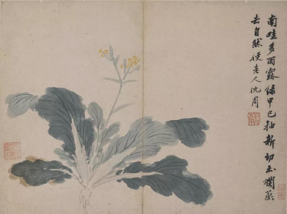 沈周卧游：性情所在、不亦乐乎！ 名人名家 第32张