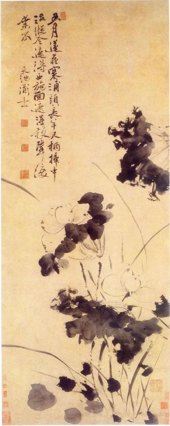 徐渭：艺术创作要有真面目，才可为高手 名人名家 第18张