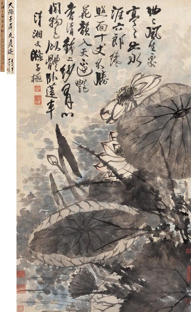 鉴赏 石涛画荷，尽显精神 名人名家 第5张