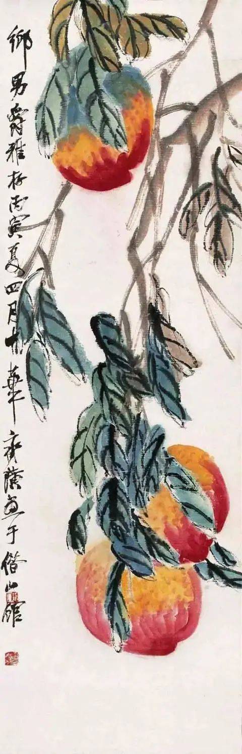 齐白石笔下的白菜、丝瓜、葡萄、石榴、荔枝、柿子，哪样最出彩！ 名人名家 第27张