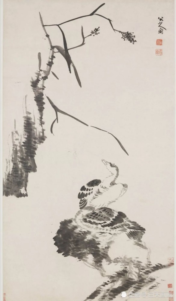 影响后世众多名家的“白眼”画家，八大山人 名人名家 第3张