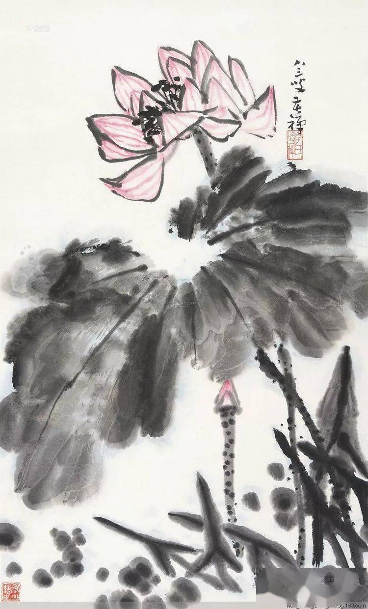 李苦禅画荷 名人名家 第12张