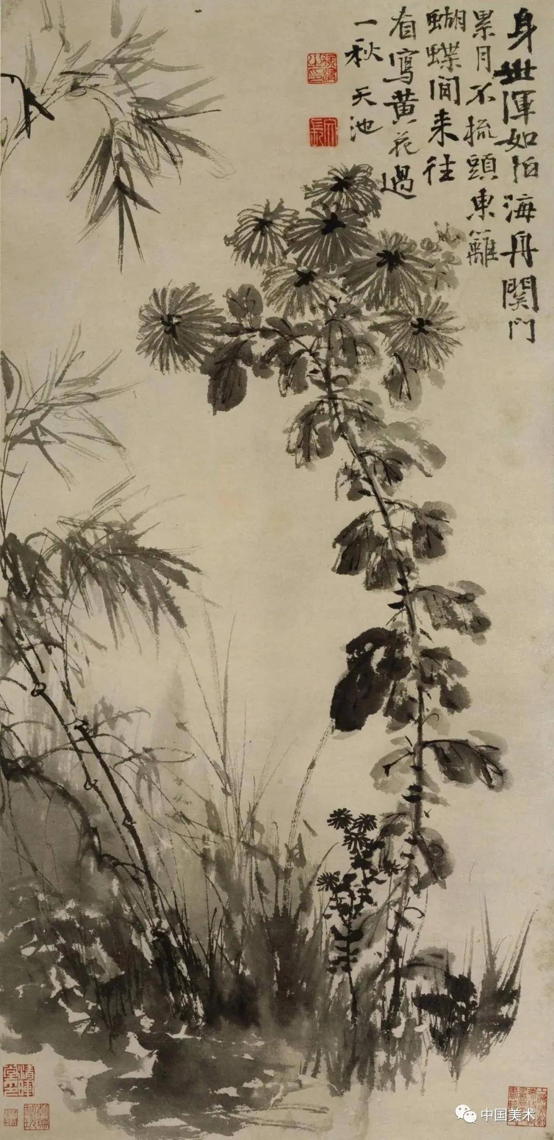 徐渭：墨色淋漓雨拨开 名人名家 第2张