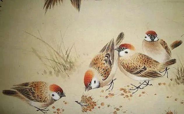 颜伯龙画笔下的麻雀 名人名家 第10张