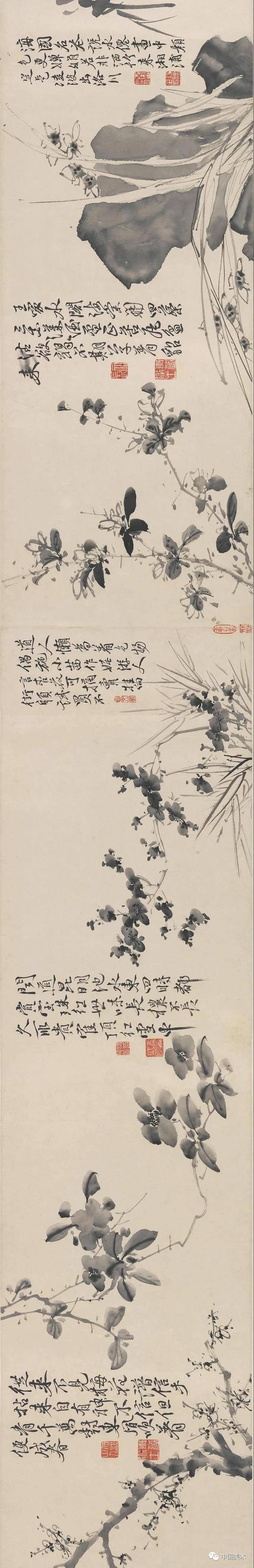 徐渭：墨色淋漓雨拨开 名人名家 第25张