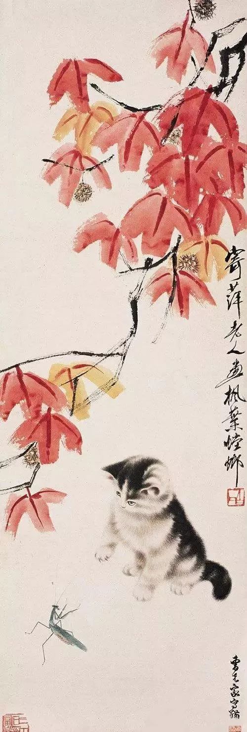 画猫一绝｜他笔下的猫们活泼精灵、人见人爱 名人名家 第81张