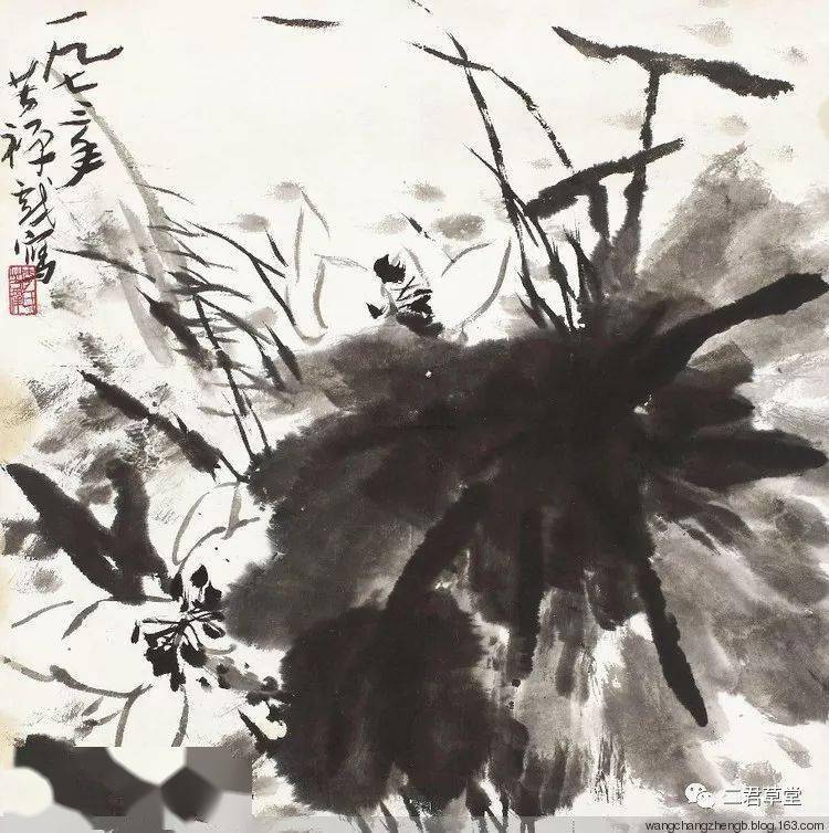 李苦禅画荷 名人名家 第21张