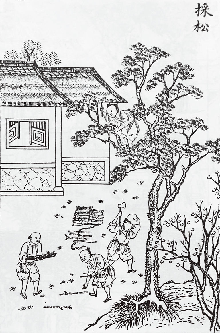 能让人倒头就拜的李廷珪墨，几代人皆是造墨高手 名人名家 第1张