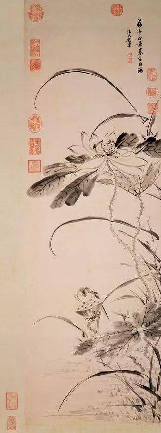 陈书：清代第一女画家 名人名家 第53张