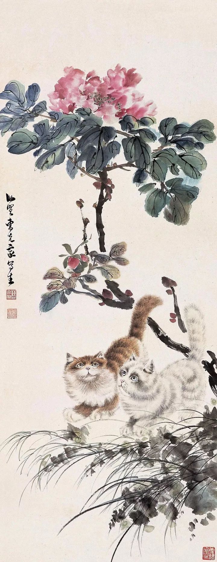画猫一绝｜他笔下的猫们活泼精灵、人见人爱 名人名家 第65张