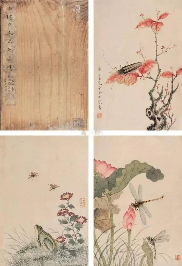 陈书：清代第一女画家 名人名家 第25张