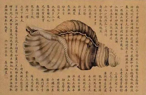 屈兆麟：清末宫廷的全才画家 名人名家 第25张